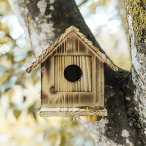 Shangrun Cardinals Nichoir suspendu Nichoir Maison d'oiseau bleu extérieure pour maison d'oiseau extérieur avec mangeoire - Product Image 2