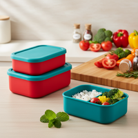 Boîte à lunch en silicone portable, sans BPA, écologique, de qualité alimentaire, pour le stockage des aliments, vente en gros
