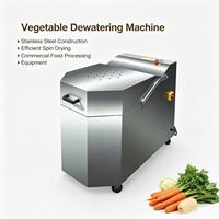 Machine de déshydratation des légumes DTS-500B, sécheuse centrifuge à conversion de fréquence, faible bruit, pour la ligne de production de transformation alimentaire