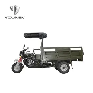 Nouveau style 200cc famille utilisé tricycle motorisé à essence grand tricycle cargo tricycle motorisé moto avec toit