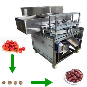 Hindistan cevizi, jujube, <span class=keywords><strong>longan</strong></span>, erik, arbutus, hurma, kayısı için yüksek verimli tohum ayırma makinesi, 100-200kg/saat kapasiteli - Product Image 1