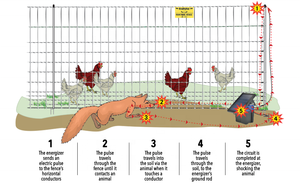 Malla de Poliéster de Alta Resistencia <span class=keywords><strong>para</strong></span> Cercas Eléctricas, Red Confiable <span class=keywords><strong>para</strong></span> Cercas Temporales - Product Image 2
