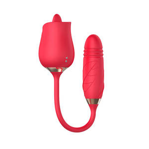 Vibratore rosa senza fili del caricatore usb del massaggiatore del seno del clitoride femminile con il vibratore della rosa del clitoride della rosa - Product Image 4