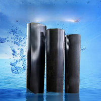 Géomembrane HDPE à surface lisse, anti-infiltration, imperméable, pour bassin à poissons, décharge sanitaire, piscine à biogaz, réservoir, épaisseur 1 mm