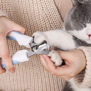 छोटे कुत्तों और बिल्लियों के लिए निर्माता हॉट सेलिंग सहज पालतू नेल क्लिपर स्टेनलेस बड़े कुत्तों के लिए नेल क्लिपर सेट सुरक्षा - Product Image 6