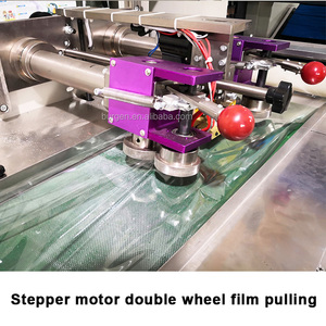 Máquina automática de envasado al vacío de pollo congelado y fresco entero <span class=keywords><strong>BG</strong></span> - Product Image 3