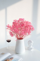 Karangan Bunga Baby's Breath Kering Alami Grosir, Gypsophila Awet Berwarna-warni untuk Dekorasi Pernikahan, Hadiah Hari Ibu
