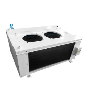 Manufacturer RuiXue air cooler unit for cold storage Double Side Blow unit cooler evaporator SEDL40/SEDD30/SEDJ20