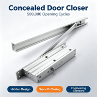 Rail de glissière en aluminium pour ferme-porte hydraulique à vitesse réglable, dispositif de fermeture de porte 25-120KG, amortisseur de porte à montage en surface