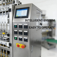 Machine d'emballage automatique de sachets de gel de glucose liquide de forme irrégulière, machine de remplissage multi-voies pour bâtonnets de glace et sucettes liquides