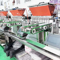 Machine à fabriquer des bonbons, machine à mouler, équipement de fabrication de chocolat, fabrication de bonbons gélifiés vitaminés