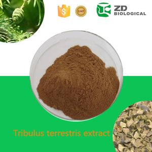 天然トリブルステレストリスエキス50% 60% <span class=keywords><strong>70</strong></span>% 90% サポニン - Product Image 5