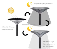 Lampu Taman LED 30W Tahan Air IP65 Lampu Jalan Tenaga Surya dengan Tiang Kontrol Jarak Jauh Cerdas Sensor Gerak IK10