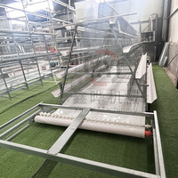 Cage à poulets de type 3/4 niveaux, galvanisée à chaud, pour 5000 à 20000 oiseaux, avec système d'abreuvement automatique et de nettoyage des déjections.