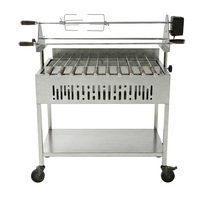 Cevapi grecs chypriotes, brochettes de satay, grillades au charbon de bois, barbecue de Chypre, grils d'extérieur