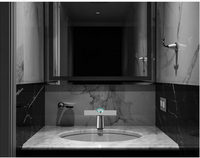 Le plus récent robinet automatique à capteur électrique à grande vitesse avec sécheur pour toilettes