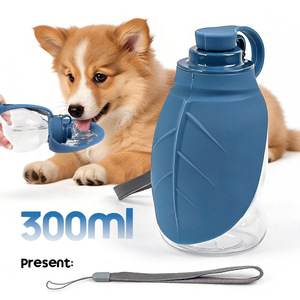 Nueva Botella <span class=keywords><strong>de</strong></span> <span class=keywords><strong>Agua</strong></span> Portátil para Mascotas <span class=keywords><strong>de</strong></span> <span class=keywords><strong>Amazon</strong></span>, Diseño <span class=keywords><strong>de</strong></span> Hoja <span class=keywords><strong>de</strong></span> Gel <span class=keywords><strong>de</strong></span> Silicona, Dispensador <span class=keywords><strong>de</strong></span> <span class=keywords><strong>Agua</strong></span> para Exteriores con Tazón Plegable - Product Image 2