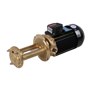 Aulank Vertical Pump for 200 Degrees Hot Water with Zero Leakage for Oil Transfer - Product Image 1