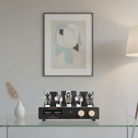 Veteran Serisi Pure Classic 300B Hi-Fi Tüp Amplifikatörü, Ev Eğlencesi için Tüp Koruyucu Kılıflı