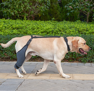 Penjepit lutut anjing peliharaan untuk ACL dengan penstabil samping logam dukungan ekstra mengurangi nyeri kawat gigi kaki belakang dapat disesuaikan untuk anjing - Product Image 4