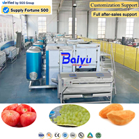 Baiyu Automatische Perzik- en Peer Schilmachine voor Fruitconservenproductielijn met PLC Intelligente Besturing