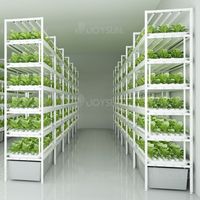 Grande usine verticale d'intérieur de plantes de ferme hydroponique automatique plantation d'intérieur à effet de serre équipement agricole pour la culture