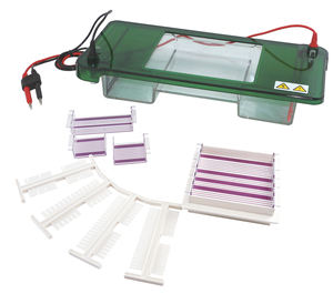 नैदानिक विश्लेषणात्मक क्षैतिज डीएनए वैद्युतकणसंचलन केशिका वैद्युतकणसंचलन - Product Image 2