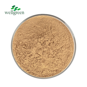Wellgreen ผงเห็ดนางรมบริสุทธิ์จาก100% ออร์แกนิก USDA ขนาด80ตาข่าย/500ตาข่าย - Product Image 2