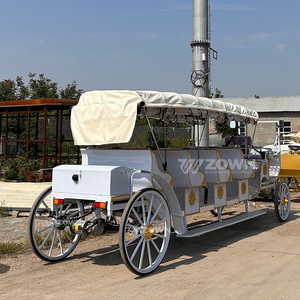 Élégante voiturette royale blanche à quatre rangées de sièges, véhicule électrique polyvalent pour visites de villas, à traction équine - Product Image 6