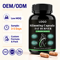Capsules brûle-graisses 60 unités Garcinia Cambogia Extrait de thé vert Supplément végétal pour la gestion du poids OEM