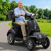 Scooter de mobilité à 4 roues Beetle, démontage rapide, durable, puissance élevée 1000W, pour personnes âgées, voyages longue distance en toute sécurité