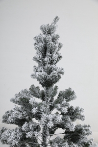 لون تخصيص duoأنت مختلف الأحجام PE PVC بسعر الجملة أبيض صيني - Product Image 2