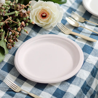 Assiettes en papier jetables de luxe de haute qualité, 172 pièces, réutilisables, robustes, biodégradables, en bagasse, compostables, pour les fêtes