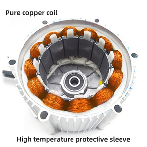 Nhà máy bán trực tiếp động cơ xe đạp điện chở hàng chất lượng cao, bền bỉ, giá rẻ 48V 60V 800W BLDC - Product Image 4