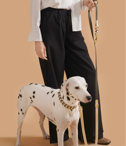 Conjunto de Correa y <span class=keywords><strong>Collar</strong></span> para Mascotas de Cuero PU Trenzado a Mano, Ajustable, Duradero, Suave y de Lujo, Correa Retráctil para Perros con Manos Libres - Product Image 5