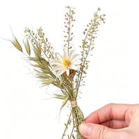 Mini bouquets de fleurs séchées naturelles, décoration spéciale pour cadeaux/cartes d'invitation/cartes de bénédiction