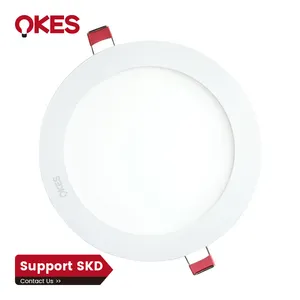 Customized 3W Ceiling Lamp Ip20 Flat Embedded White Round LED Panel Light