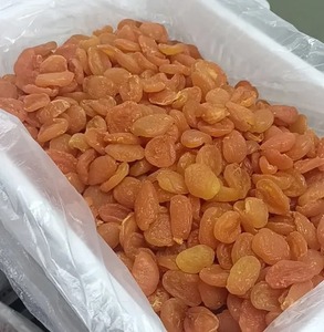 Abricots secs de haute qualité avec sucre, provenant de Chine, fruits secs premium, mélange de fruits congelés, emballage cadeau, OEM chinois - Product Image 1