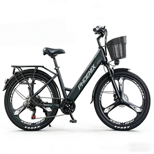 Bicicleta Eléctrica con Rueda Integrada, Motor sin Escobillas de 48V 350W, Batería de Litio, Suspensión Delantera/Trasera, Venta Directa de Fábrica - Product Image 6