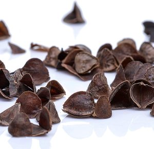 الفلين الطبيعي غطاء التأمل Zafu + حشو الحنطة السوداء الطبيعية Zabuton اليوغا تعزيز التأمل عالية الجودة - Product Image 6