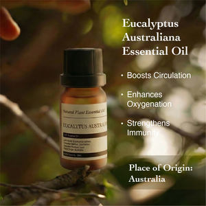 Huile essentielle d'eucalyptus d'Australie 10 ml, 100 % pure et naturelle, pour l'aromathérapie, antibactérienne et soin de la peau. - Product Image 2