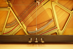 Piano clásico profesional para niños, nuevo modelo, teclado japonés, Piano de cola usado a un precio - Product Image 5