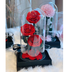 جرة جرس على شكل قبة للبيع بالجملة بأفضل جودة زجاجي محفوظ للزهور وردية صندوق كرتون فنون شعبية OEM ODM جرس زجاجي بقاعدة مضيئة - Product Image 2