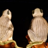 Chinesische Seiden-LED-Laternen Wasserdichte Tierformen Außendekoration für Festivals Halloween/Erntedankfest/Weihnachten/Neujahr