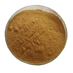 OEM Natural Bulk Powder Vanilla Bean Extract Powder 100G/Bag