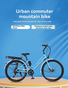 Vélo électrique de ville pour le transport de marchandises, 2 roues, d'occasion, acheter des accessoires, vélo électrique <span class=keywords><strong>VTT</strong></span> - Product Image 1