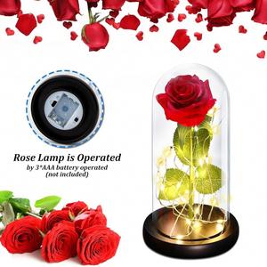 Luz nocturna romántica con cúpula de cristal con rosas para el Día de San Valentín, decoración para el Día de San Valentín, Día de la Madre, boda, cumpleaños, regalo - Product Image 6