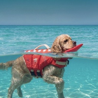 Gilet de sauvetage pour chien à thème dessin animé, flottabilité extra-forte, convient aux races de chiens de petite, moyenne et grande taille, maillot de bain pour chien, vêtements pour animaux de compagnie, tout type