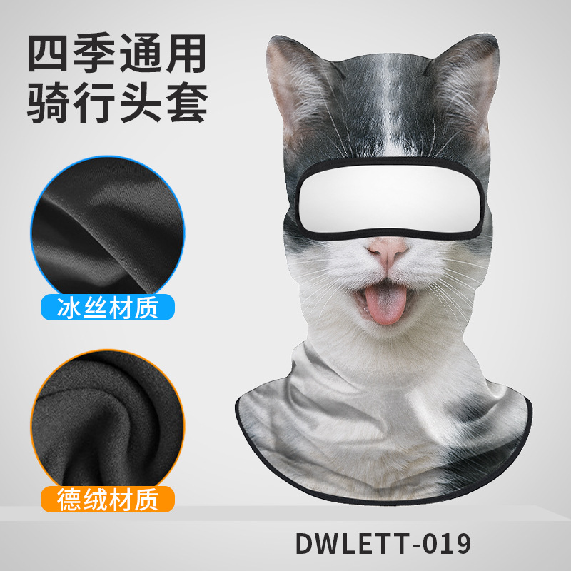 DWLETT-019