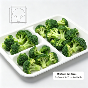 Fleurs de <span class=keywords><strong>brocoli</strong></span> surgelées IQF, coupées fraîchement cueillies, légumes verts naturels, pour la restauration, la transformation alimentaire, vente en gros, exportation - Product Image 3